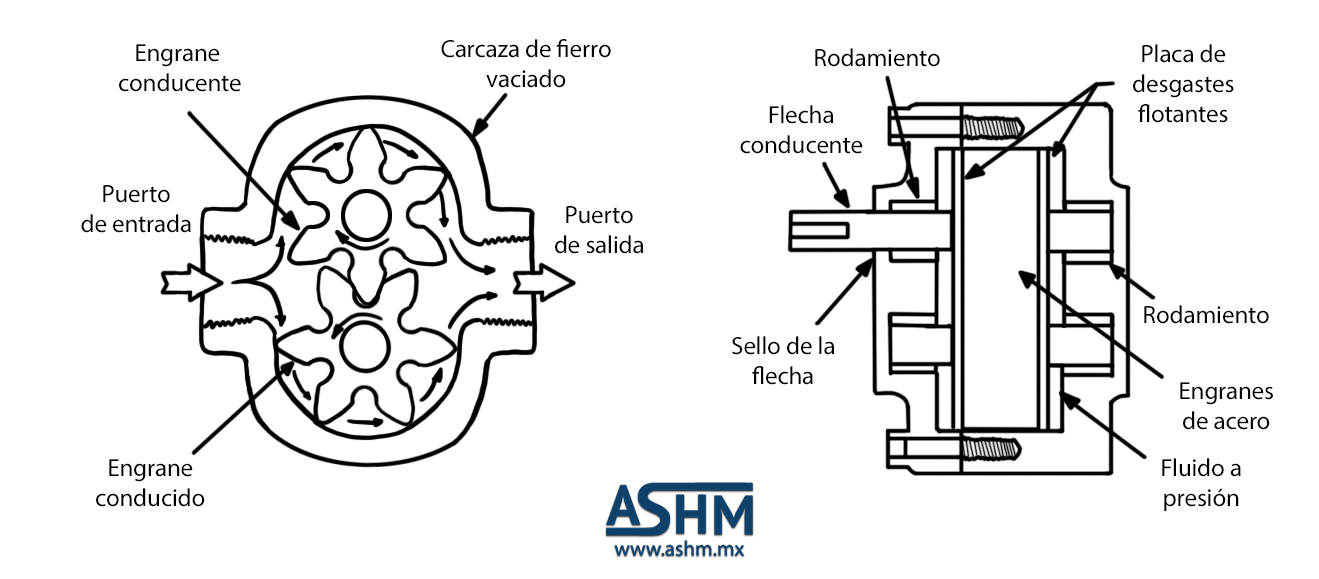 Hombre Molester Completo Construcción de una bomba de engranes | Aceros y Sistemas Hidráulicos de  México S. A. de C. V.